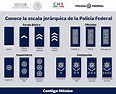Promoción de Grados 2016 | Policía Federal | Gobierno | gob.mx
