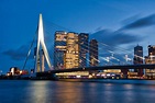 25 cosas que ver y hacer en Rotterdam (Países Bajos) | Los Traveleros