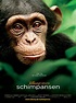 Schimpansen - Dokumentarfilm 2012 - FILMSTARTS.de