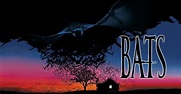 Bats (Murciélagos) - película: Ver online en español