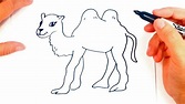 Como dibujar un Camello | Dibujo de Camello paso a paso - YouTube