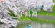 東京千鳥淵公園景點介紹！千鳥淵櫻花美景！千鳥淵護城河綠道賞櫻！日本東京櫻花絕景！東京絕景【日本漫遊】