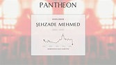 Şehzade Mehmed Biography - Ottoman prince, son of Sultan Suleiman ...