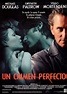 Película Un Crimen Perfecto (1998)