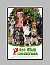 12 Dog Days Till Christmas - film - SensCritique