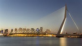 The Erasmus Bridge In Rotterdam Netherlands 4k Ultra HD Wallpaper and ...
