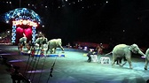 Circus Trip - Ringling Bros. and Barnum & Bailey - Elephant Show - YouTube