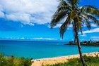 Our Favorite Oahu North Shore Beaches - BLN