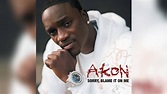 Akon - Sorry, Blame It On Me (Audio) - YouTube