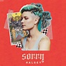 แปลเพลง Sorry - Halsey เนื้อเพลง และความหมายเพลง Sorry
