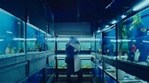 Little Fish (2020) | Film, Trailer, Kritik
