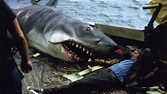 The Shark Is Still Working (2007) - Where to Watch It Streaming Online ...