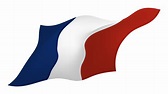 bandera de francia. ilustración vectorial 7684553 Vector en Vecteezy