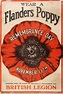 Remembrance poppy: Why are poppies used as a symbol of remembrance ...