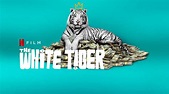 The White Tiger – Review | Netflix Thriller Mystery | Heaven of Horror