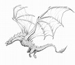 How to Draw a Dragon, Step By Step and Easy to Follow Tutorial ...