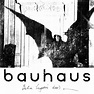 Bauhaus Bela Lugosi is Dead Poster Print Album Record Cover - Etsy