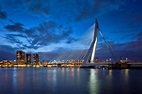 Puente erasmus, rotterdam, países bajos | Foto Premium