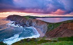 thoughts from an empty head: Point Reyes National Seashore by Tony Immoos