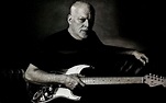 Sir David Gilmour - 2560x1600 Wallpaper - teahub.io