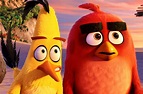 The Angry Birds Movie Review: Sling and a Miss | Collider