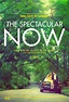 The Spectacular Now Poster - HeyUGuys