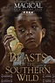 Beasts of the Southern Wild (2012) - Posters — The Movie Database (TMDB)