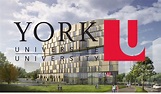 Cuáles son los programas académicos ofrecidos por la Universidad de York