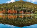 流水響鶴藪水塘（Lau Shui Heung Hok Tau Reservoirs） | Hong Kong Tourism Board