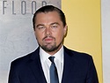 Leonardo DiCaprio Shares Video of Andros Island Plastics Cleanup ...