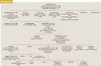 L'Ultima Thule: Albero genealogico della famiglia reale dei Carolingi