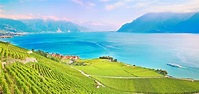 10 Best Things to do in Riviera-Pays-d'Enhaut District, Vaud - Riviera ...