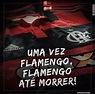 Pin de Canal Gomes em ídolo | Flamengo até morrer, Uma vez flamengo
