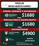 ≫ Estos son los tipos de Becas Benito Juárez que puedes SOLICITAR si ...