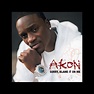 ‎Sorry, Blame It On Me - Single by Akon on Apple Music