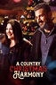 A Country Christmas Harmony Review: Charming Sweet Magnolias Duo ...