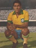 GARRINCHA | Garrincha, Seleção brasileira de futebol, Esportes