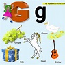 G For Grape Alphabet, Phonic Sound And 5 Words HD Image