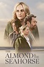 The Almond and the Seahorse (2022) - Posters — The Movie Database (TMDB)
