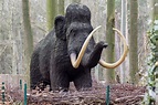 Mammut Foto & Bild | deutschland, europe, mecklenburg- vorpommern ...