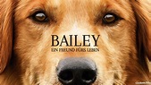 Bailey: Ein Freund fürs Leben | Apple TV