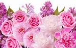 Cute Pink Flower Wallpapers - Top Free Cute Pink Flower Backgrounds ...