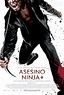 Asesino ninja