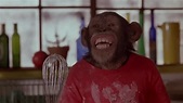 Watch MVP 2: Most Vertical Primate (2001) - Free Movies | Tubi