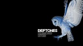 Deftones Wallpapers - Top Free Deftones Backgrounds - WallpaperAccess