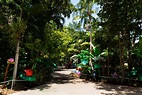 Jungle Island, Miami Visitor's Guide
