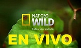 NATGEO WILD EN VIVO - TV EN VIVO ECUADOR