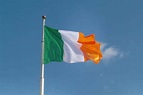 Bandeira da Irlanda: veja quais são as cores e os significados