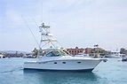 38' Tiara Yachts 3600 Open for Sale | Express Cruiser | CELTIC PRIDE ...