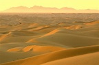 It Snowed In The Sahara Desert For The Third Time In 40 Years And The ...
